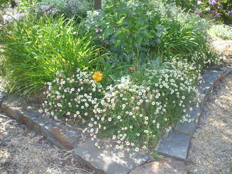 Archery Road Estate - Accommodation NT 15