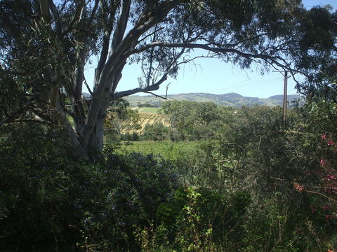 Archery Road Estate - Accommodation NT 0