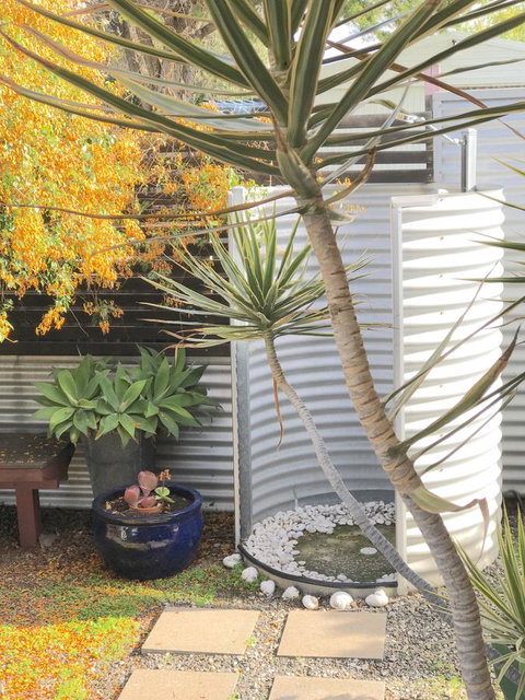 Milly\'s Middleton - Pet-friendly - NT Tourism 23