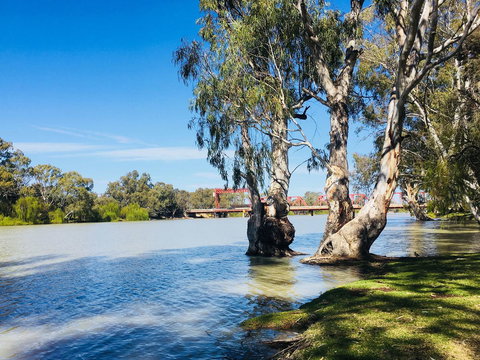 Echo Holiday Parks - Renmark - Accommodation NT 5