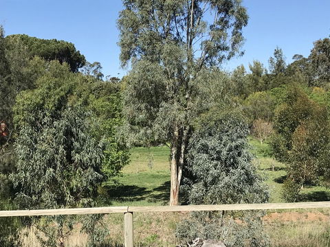 Adagio In Auburn - Accommodation NT 25