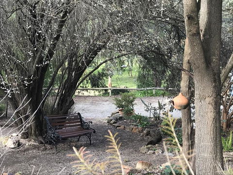 Adagio In Auburn - Accommodation NT 17