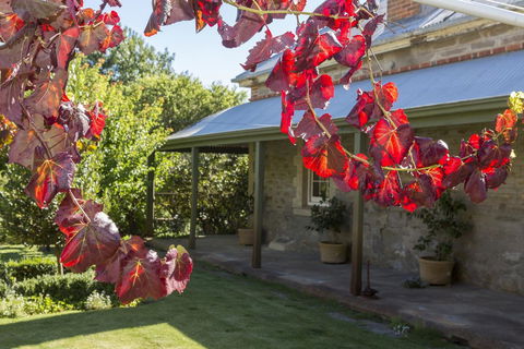 Grand Cru Estate Homestead - NT Tourism 1