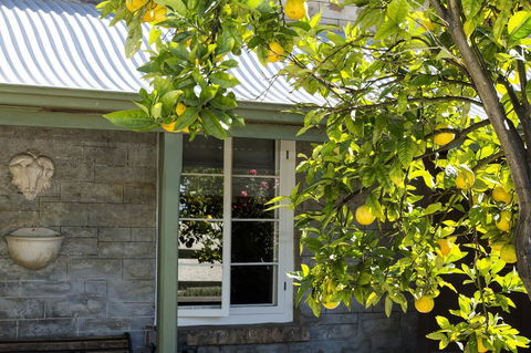 Grand Cru Estate Homestead - NT Tourism 10