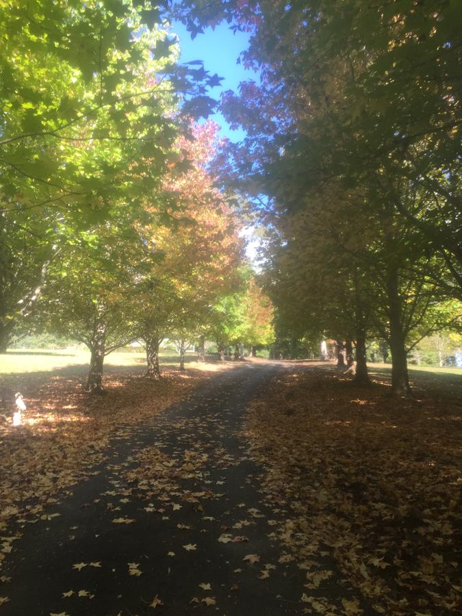 Bonville NSW Accommodation NT