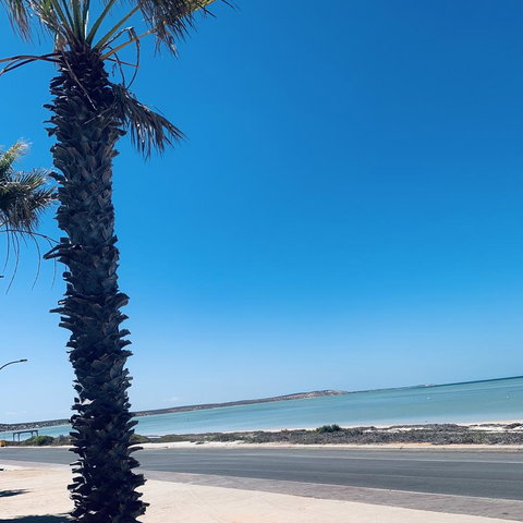 Bay Lodge - Accommodation NT 8