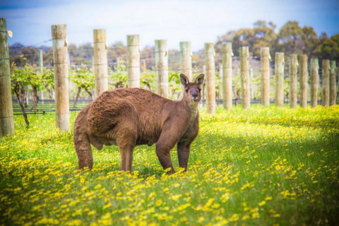 The Roozen Residence - Accommodation NT 29