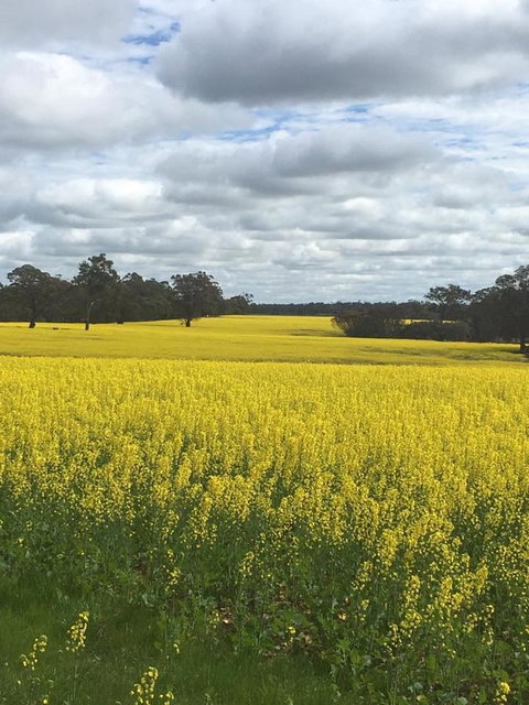 Blue House Denmark - Accommodation NT 5