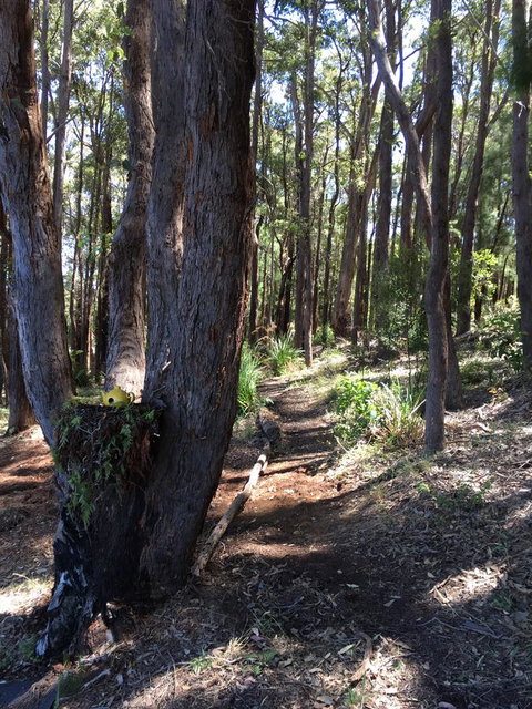 Blue House Denmark - Accommodation NT 6