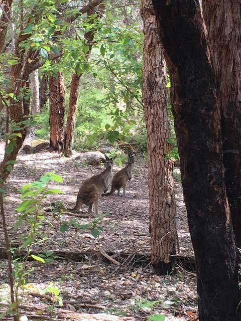 Blue House Denmark - Accommodation NT 7