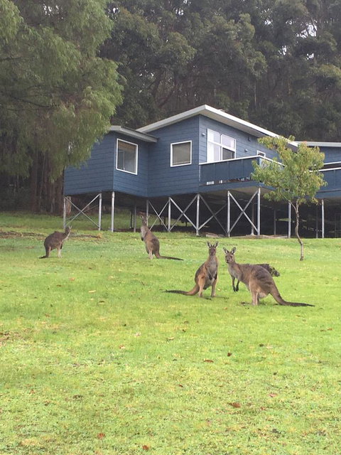 Blue House Denmark - Accommodation NT 0