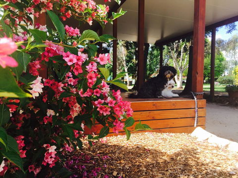 Armidale Tourist Park - Accommodation NT 34