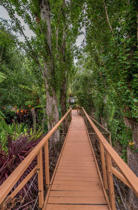 Chimes Spa Retreat - Accommodation NT 25