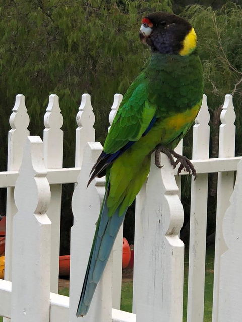 Riverview Tourist Park - Accommodation NT 20