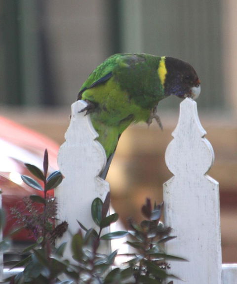 Riverview Tourist Park - Accommodation NT 35