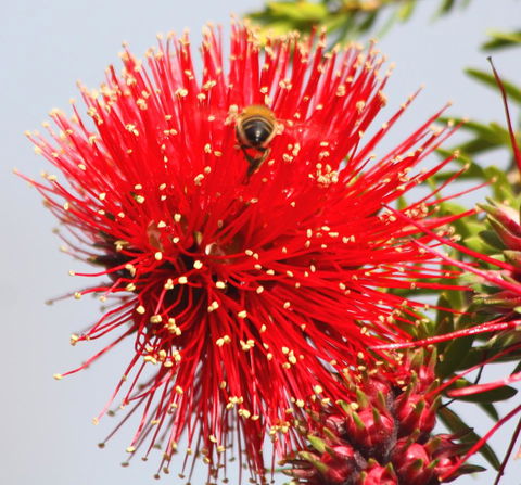 Riverview Tourist Park - Accommodation NT 36