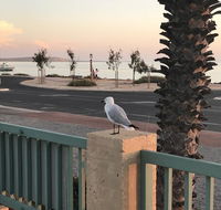 Shark Bay Seafront Apartments - NT Tourism