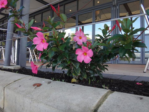 Mandurah Quay Resort - NT Tourism 34
