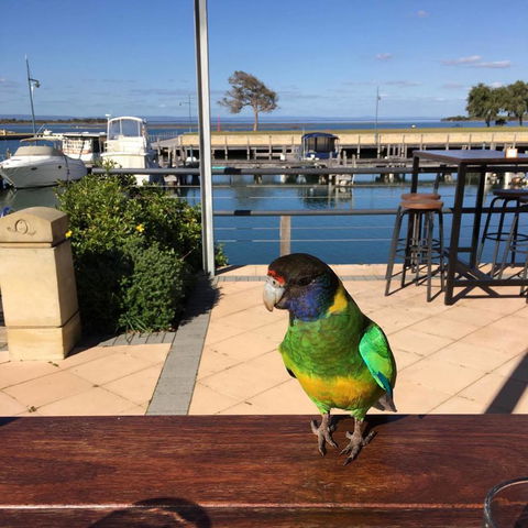 Mandurah Quay Resort - NT Tourism 32