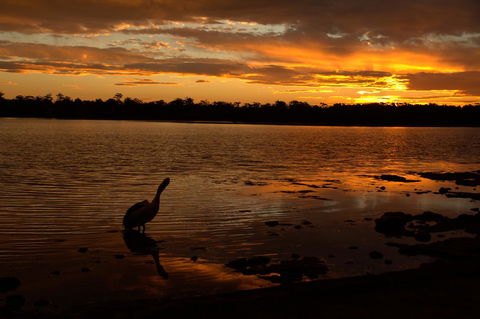 Dungowan Holiday Accommodation - Accommodation NT 31