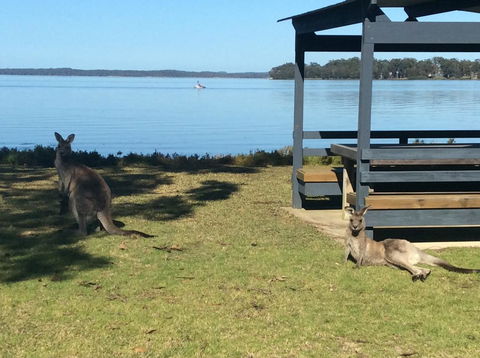 Dungowan Holiday Accommodation - Accommodation NT 33