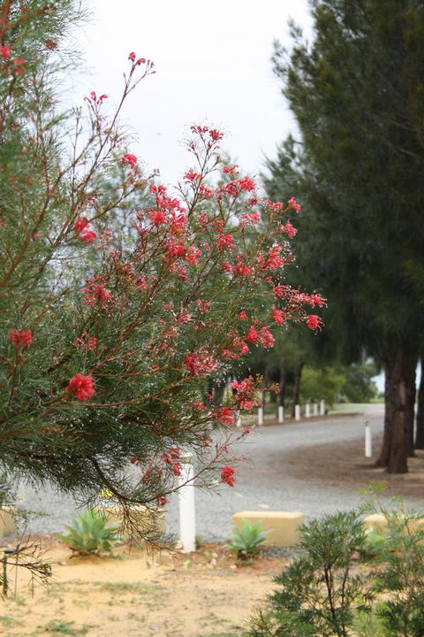 The Heights Bed & Breakfast - NT Tourism 0
