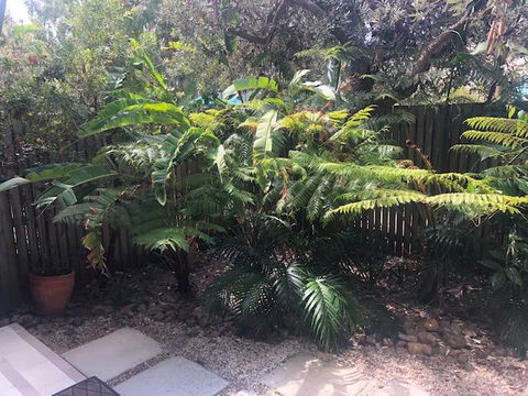 East On Byron - Accommodation NT 40