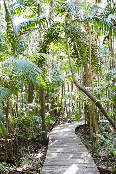 Crystalbrook Byron - Accommodation NT 26
