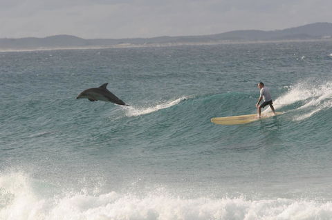 Crescent Head Spa Villa - Accommodation NT 22