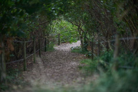 Ingenia Holidays Byron Bay - Accommodation NT 15