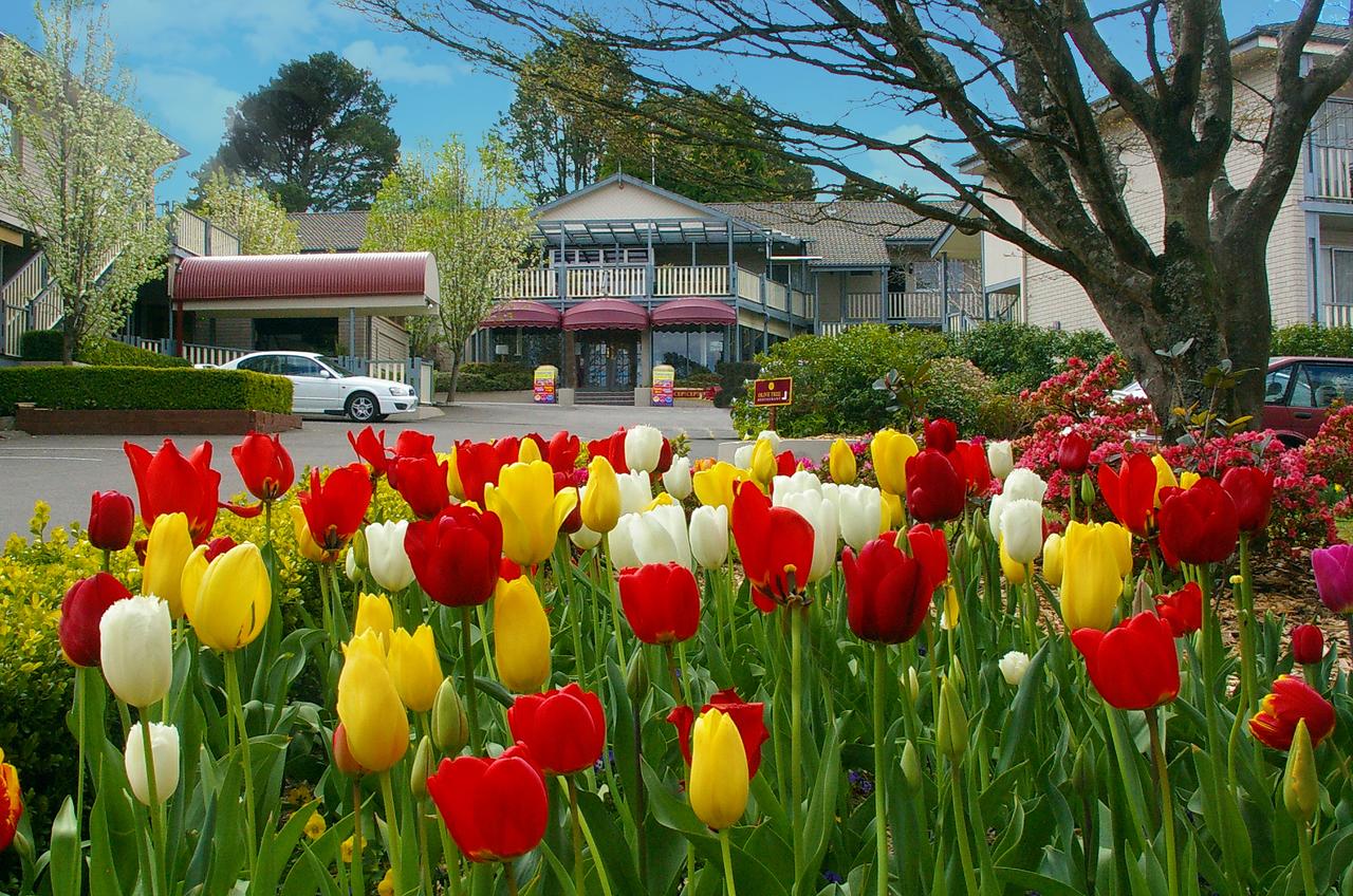 Leura NSW NT Tourism
