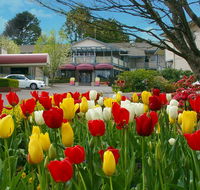 Nesuto Leura Gardens formerly Waldorf Leura Gardens Resort - NT Tourism