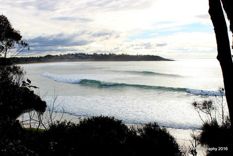 Mollymook Cove Apartments - Accommodation NT 2