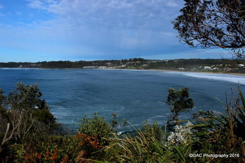 Mollymook Cove Apartments - Accommodation NT 1