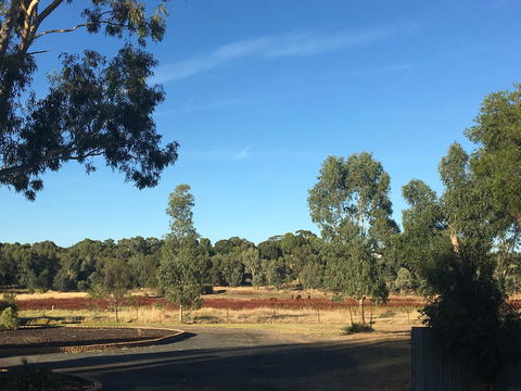 Junee Motor Inn - Accommodation NT 24