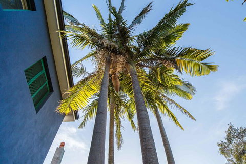 Bondi Beach House - Accommodation NT 2