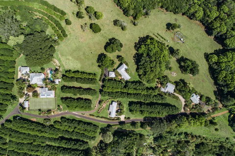 Byron Hinterland Villas - Accommodation NT 17