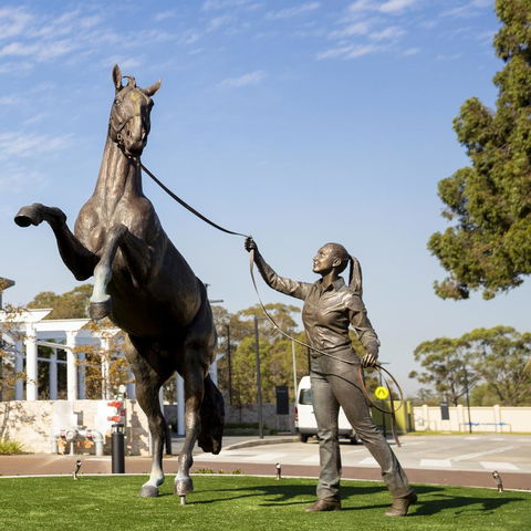 The William Inglis Mgallery - Accommodation NT 24