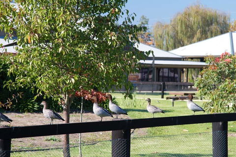 Potters Apartments - Accommodation NT 25