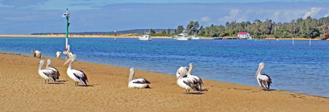 Pelican Motor Inn - Accommodation NT 29