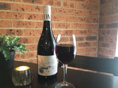 Bega Downs Motor Inn - Accommodation NT 11