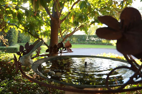 Peppers The Hills Lodge - Accommodation NT 30