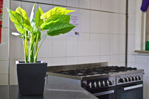 Mad Monkey Kings Cross - Accommodation NT 19