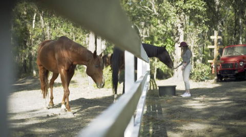 The Woods Farm Jervis Bay - Accommodation NT 13