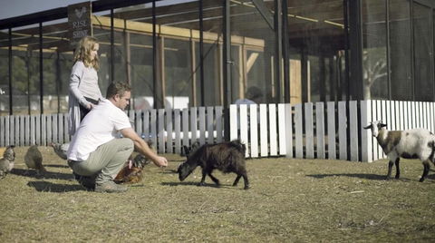 The Woods Farm Jervis Bay - Accommodation NT 14