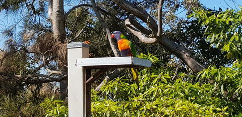 The Edgewater On Greville - Accommodation NT 15