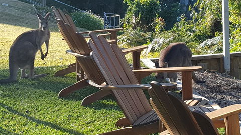 The Edgewater On Greville - Accommodation NT 18