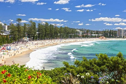 Oversized 2 Bedroom Manly Beach House - Accommodation NT 12
