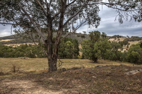 Pound Creek Gallery - Accommodation NT 29