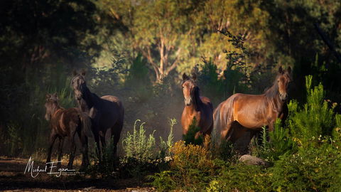 Pound Creek Gallery - Accommodation NT 18
